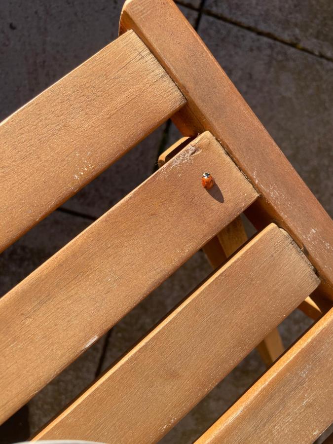 Duplex 6 Plazas Para Desconectar De La Rutina Oliana Eksteriør bilde